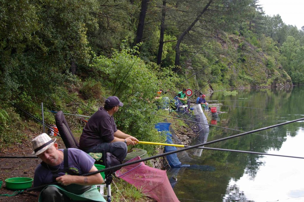 peche a la truite gard - pêche à la truite en étang astuce