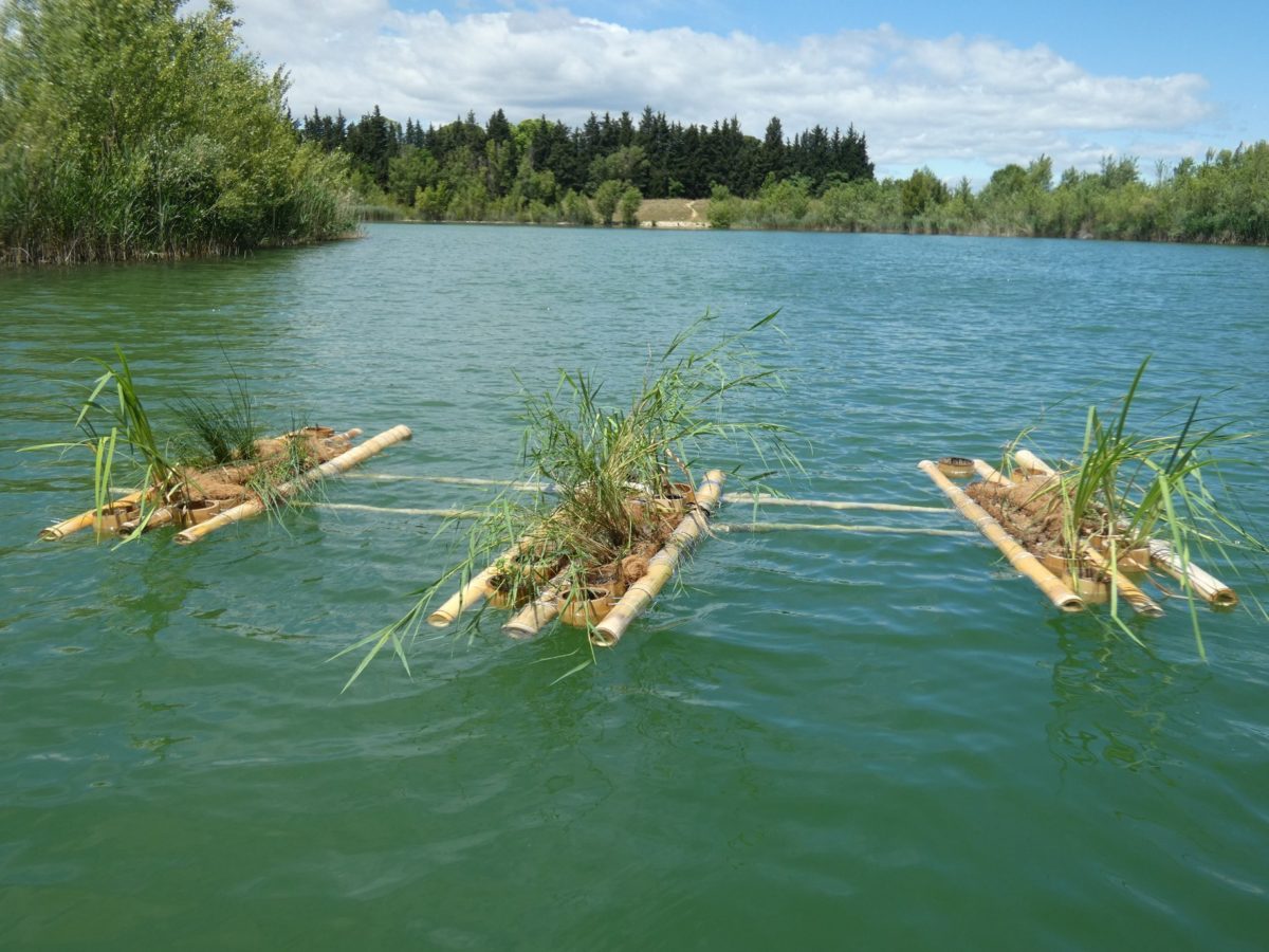 Récifs artificiels : les bénéfices pour la pêche