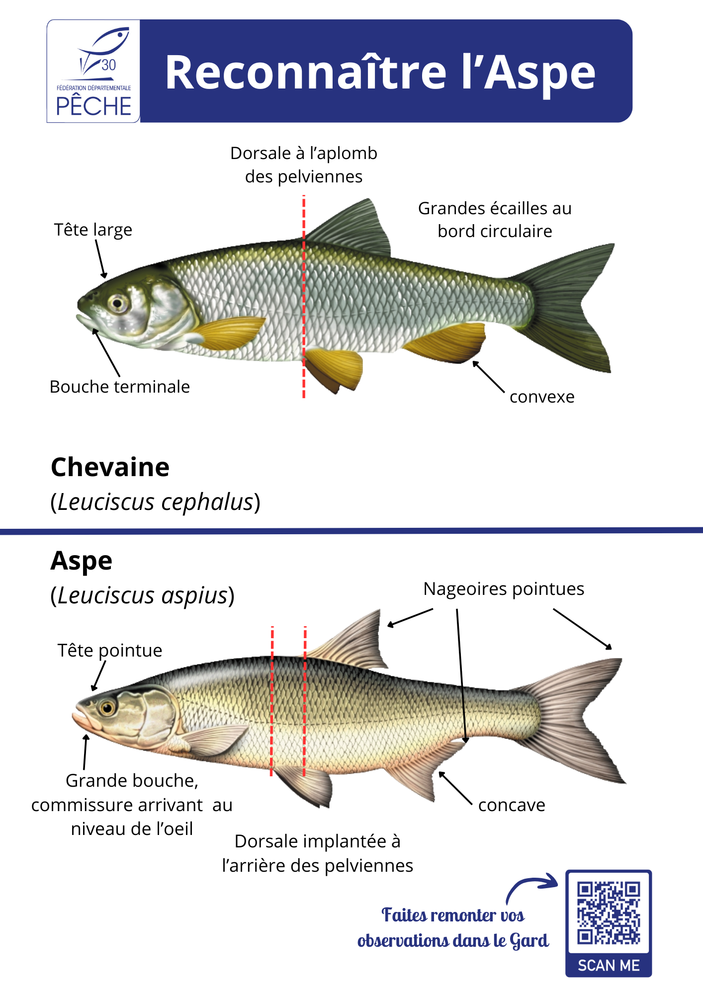 Connaissez-vous l’Aspe ?